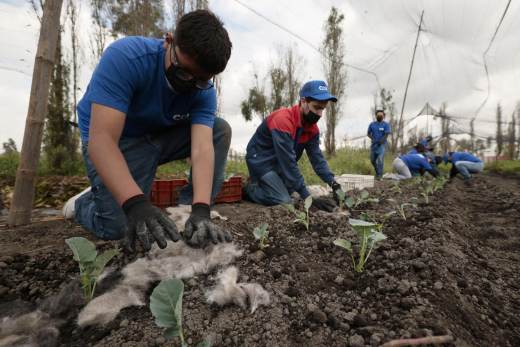 El cabello reciclado se convierte en una herramienta ambiental en México