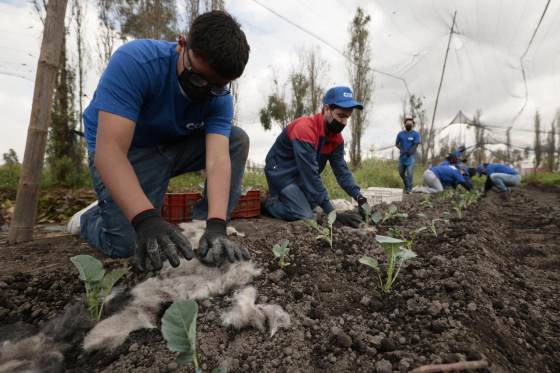 El cabello reciclado se convierte en una herramienta ambiental en México
