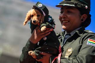 La 'Pasarela Guau', un homenaje de la Policía de Bolivia a los agentes caninos y mascotas