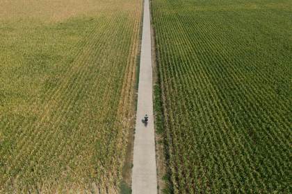 Agricultores alemanes piden medidas al Gobierno para paliar la "decepcionante" cosecha