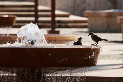 El Niño dispara los termómetros en el Caribe colombiano y amenaza a la población y el agua