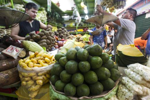 Agroexportaciones de Perú crecieron 18 % en 2025 y obtienen alza de 7,3 % en 2026