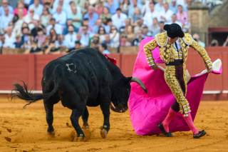 El español Juan Ortega abre feria taurina de Tlaxcala junto a mexicanos Silveti y Angelino