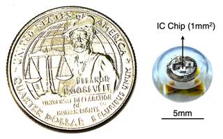 Diseñan una mini cápsula ingerible que mide la temperatura en tiempo real