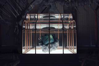 Crean un bolso de lujo con proteína reconstruida de T-Rex