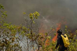 Gobierno colombiano hará un plan de recuperación ambiental en zona afectada por incendios