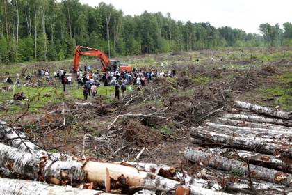 Los bosques del mundo perdieron más de 400 millones de hectáreas entre 1990 y 2020