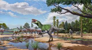 Identifican un nuevo dinosaurio a partir de un fósil que estuvo en un cajón 100 años