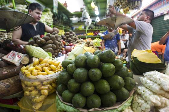 Agroexportaciones de Perú crecieron 18 % en 2025 y obtienen alza de 7,3 % en 2026