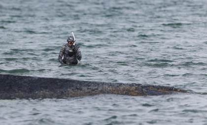La ballena varada que causó furor mediático en Alemania será convertida en biocombustible