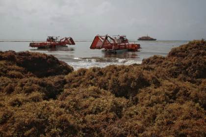 UE y el Caribe impulsan en Cancún inversiones para convertir el sargazo en cadena de valor