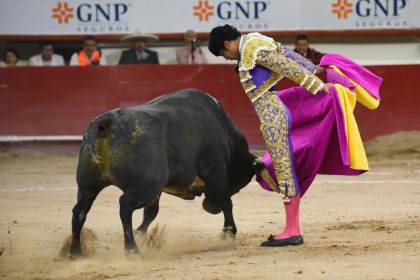Senado mexicano aprueba ley de bienestar animal sin prohibir las corridas de toros