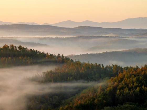Más de 1.500 millones de hectáreas de bosque están degradadas, según un informe de la FAO