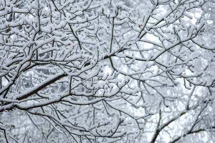 Declaran el estado de alerta naranja en Moscú ante el mal tiempo y las intensas nevadas