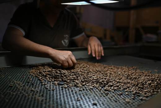 Carne, café y tierras raras, entre las excepciones al arancel del 25 % de EE.UU. a Brasil