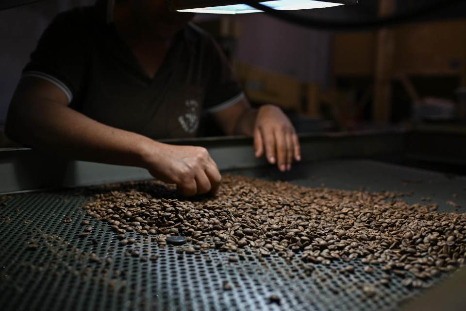 Carne, café y tierras raras, entre las excepciones al arancel del 25 % de EE.UU. a Brasil