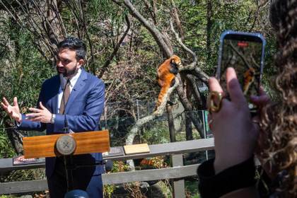 Inquilinos, guarderías, migrantes y mucha nieve: los primeros 100 días del alcalde Mamdani