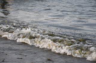 Falta de mantenimiento provoca mitad de los derrames petroleros en México, según experto