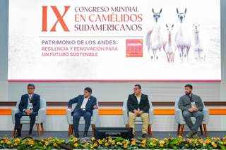 Congreso Mundial de Camélidos Sudamericanos reúne a expertos de América y Europa en Perú