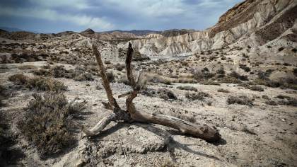 La COP17 abre su segmento de alto nivel con una semana de diálogos ministeriales