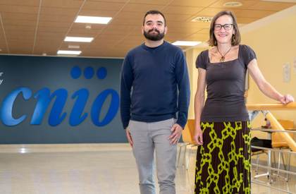 Los investigadores vinculan la fertilidad con células inmunitarias presentes en el cerebro