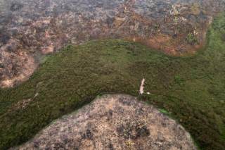 Expertos elaboran una ley modelo de armonización del delito de ecocidio en Latinoamérica