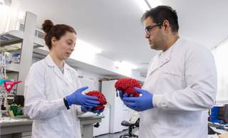 Descubren un 'interruptor' cerebral clave en el autismo y la esquizofrenia