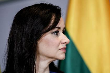 Dimite el segundo Gobierno de Lituania en menos de dos años