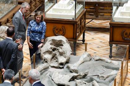 El rey celebra el centenario del Museo Geominero de España