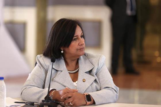 Jefa negociadora del antichavismo considera libertad de presos políticos parte del diálogo