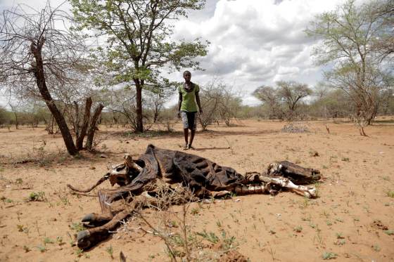 ONU: Los países incluyen cada vez más el cambio climático dentro de políticas económicas