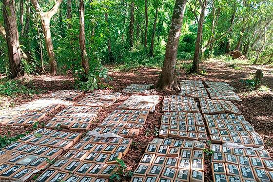 El Ejército de Nicaragua incauta 475 paquetes de cocaína cerca de frontera con Costa Rica