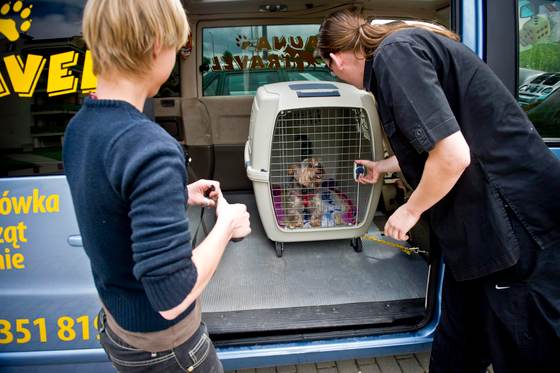 La UE endurece la movilidad de mascotas con el pasaporte europeo de animales de compañía