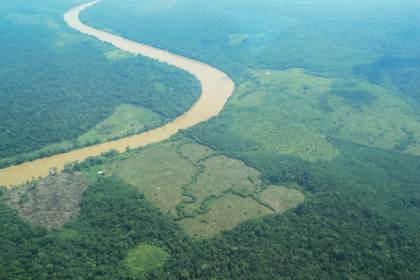 La bioeconomía de la Amazonía, una víctima potencial de El Niño