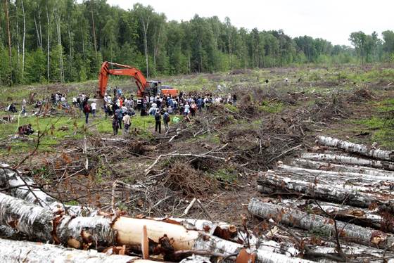 Los bosques del mundo perdieron más de 400 millones de hectáreas entre 1990 y 2020