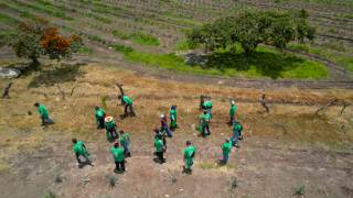 El estado mexicano de Jalisco busca recuperar sus bosques ante el auge mundial del tequila