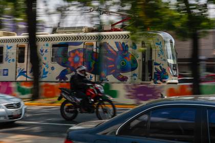 Ciudad de México se pinta de ajolotes a días del Mundial, mientras la especie desaparece