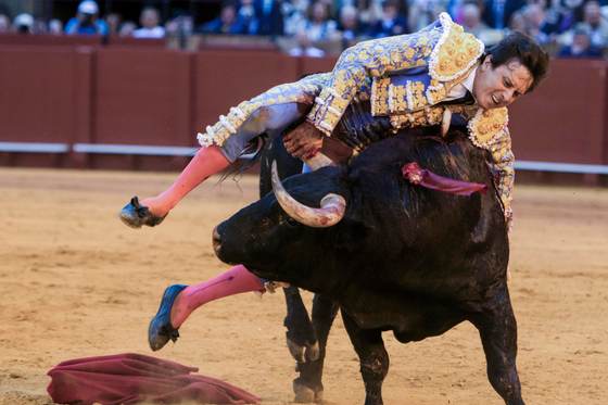 Roca Rey herido en el muslo derecho al entrar a matar al quinto toro en Sevilla