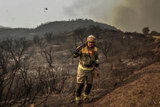 El Seprona, el fotoperiodista Pedro Armestre y Gempa, premios Biodiversidad Fundación BBVA