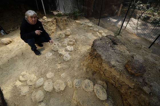 El misterioso lazo transatlántico de los dinosaurios: de la Patagonia al sur de Francia