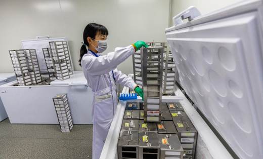 Crean un atlas con más 92 millones de elementos del ADN que controlan los genes humanos