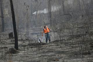 Honduras conmemora Día de la Tierra entre la "emergencia" climática y llamados a adaptarse