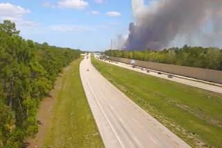 Un incendio forestal afecta 141 hectáreas en el suroeste de Florida