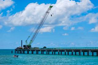 Detectan que un gran muelle en construcción en Panamá serviría de hábitat para arrecifes