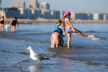 Bélgica sufre otra ola de calor y enfila un verano con temperaturas récord
