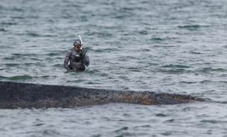 La ballena varada que causó furor mediático en Alemania será convertida en biocombustible