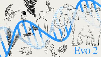 Evo 2, un nuevo modelo de IA para modelar y diseñar el código genético de la vida