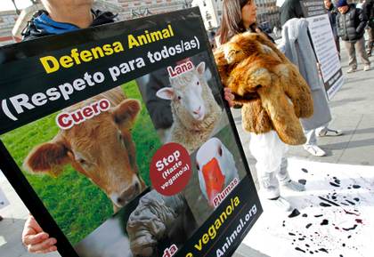 Organizaciones ambientales piden a la UE que mantenga el cuero en Tratado de deforestación