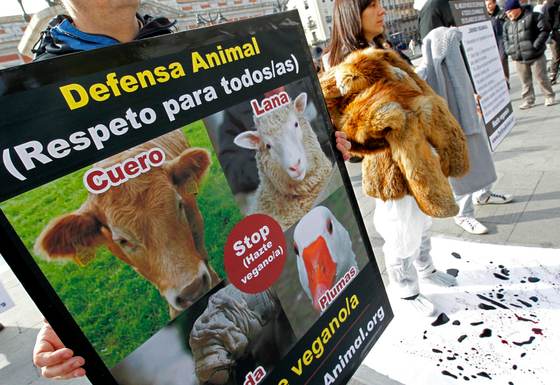 Organizaciones ambientales piden a la UE que mantenga el cuero en Tratado de deforestación