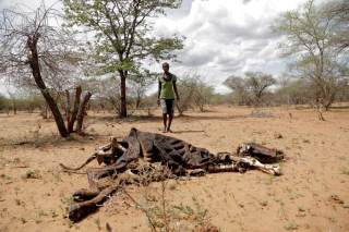 ONU: Los países incluyen cada vez más el cambio climático dentro de políticas económicas